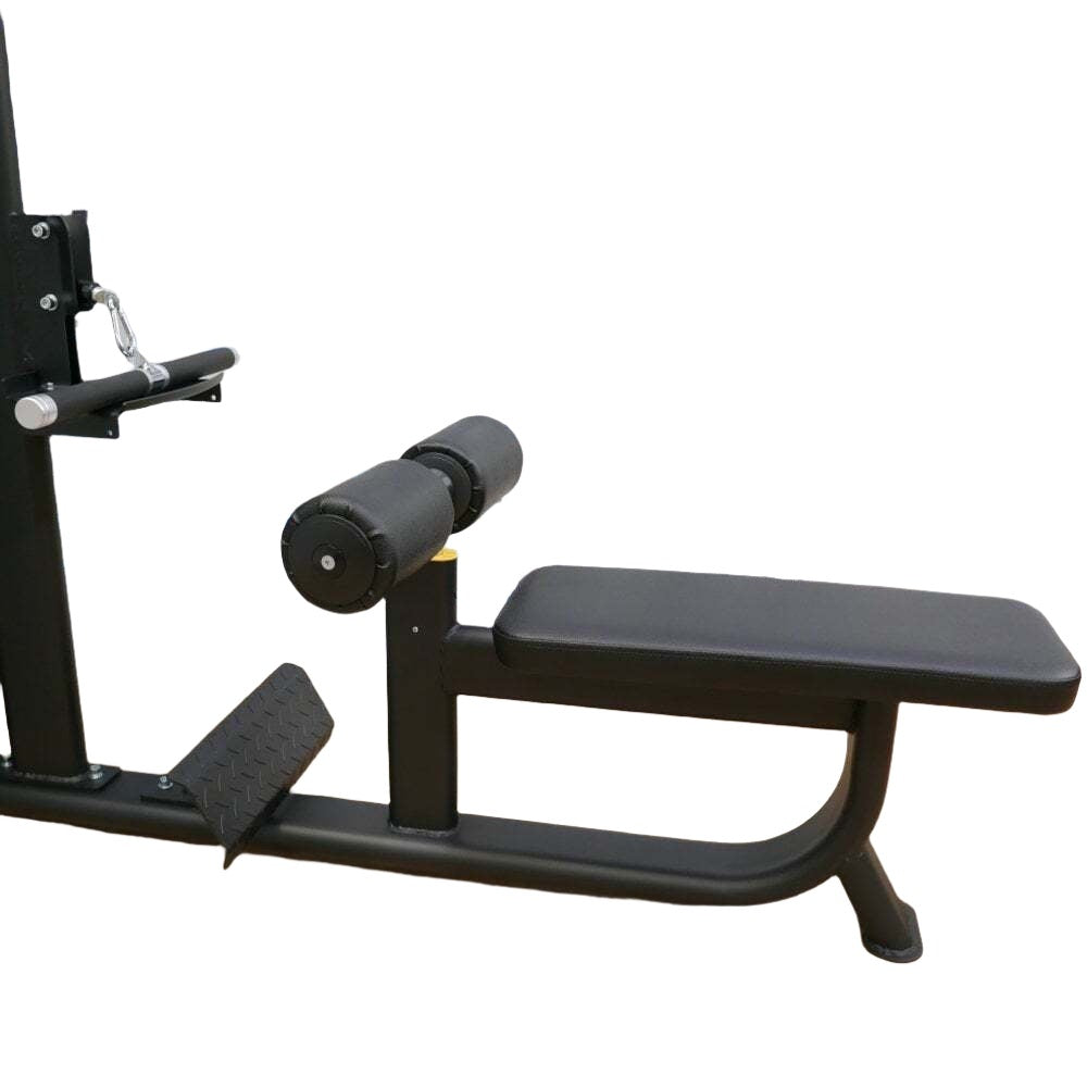 Future Dual Series Commercial Lat Pulldown / Low Row (Gym Equipment)