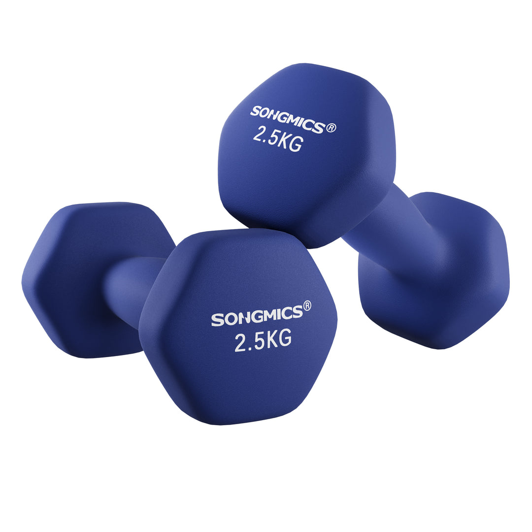 SONGMICS Set of 2 2.5kg Dumbbells, Hexagonal Dumbbells Pair, Home Workout, Fitness Training Exercise