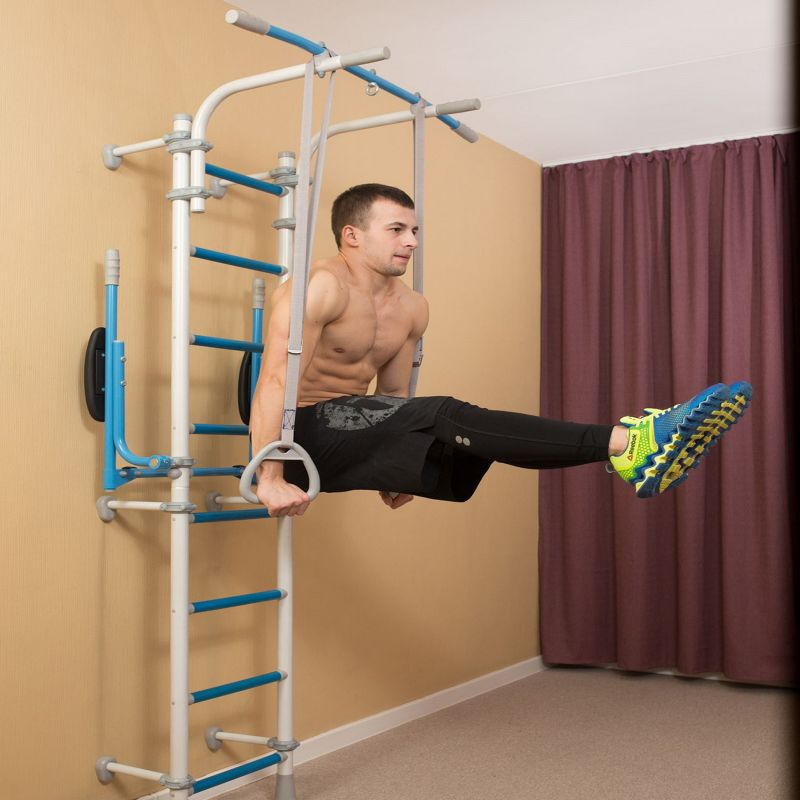 Wallbarz Gym EG-W-055 Ladder