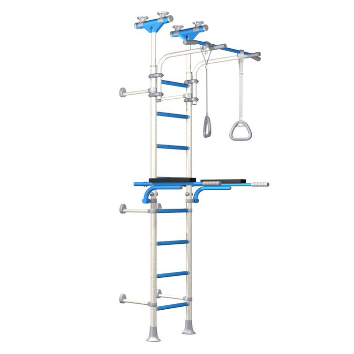 Wallbarz Gym EG-W-055 Ladder