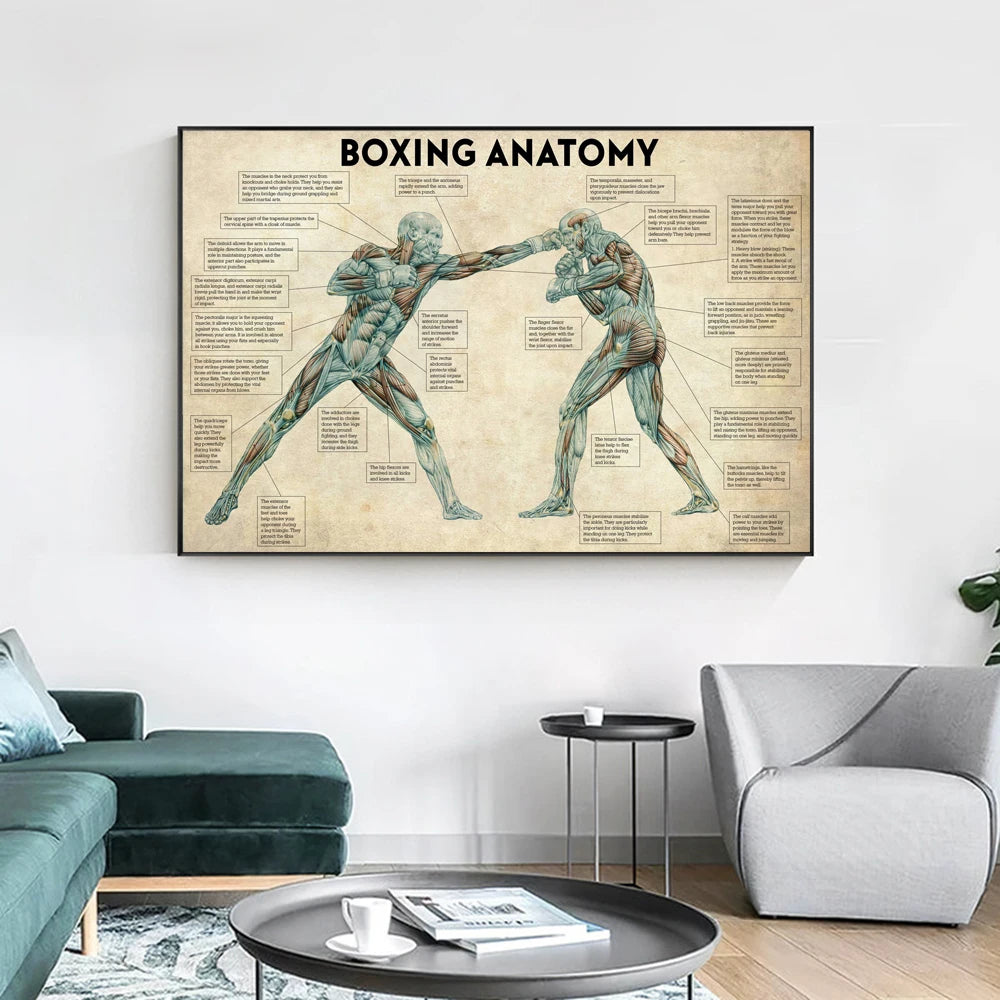 Vintage Boxing Body Anatomy Posters and Prints Wall Art Canvas