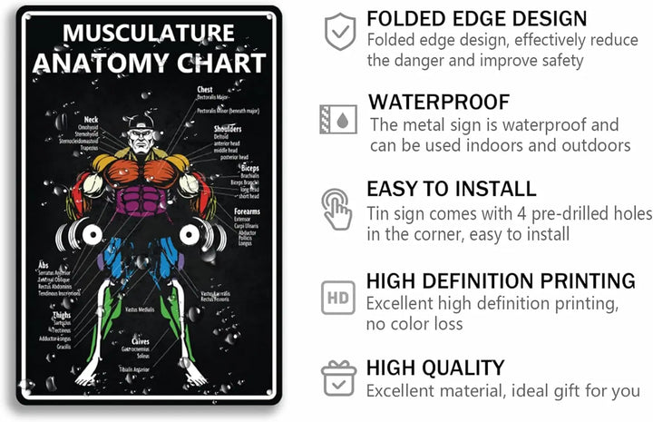 Musculature Anatomy Chart Tin Sign Gym Motivational Metal Signs Funny