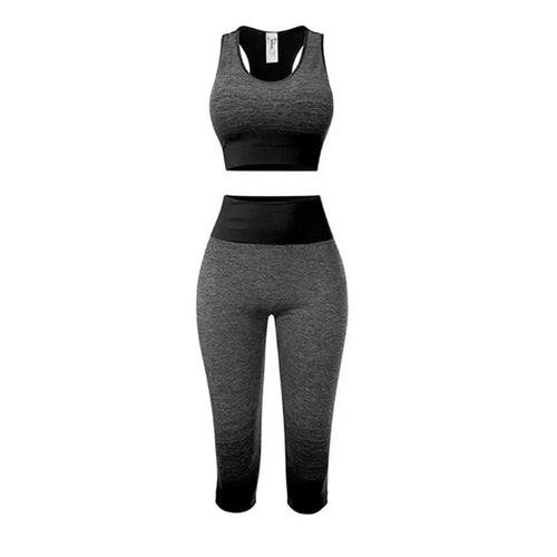 2 Piece Sets Womens Outfits Yoga Set Elastic Gradual Changing Sports