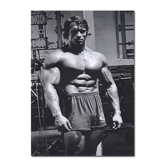 Arnold Schwarzenegger Fitness Posters and Prints Motivational Wall Art Canvas Paintings Modern Home Room Wall Decor