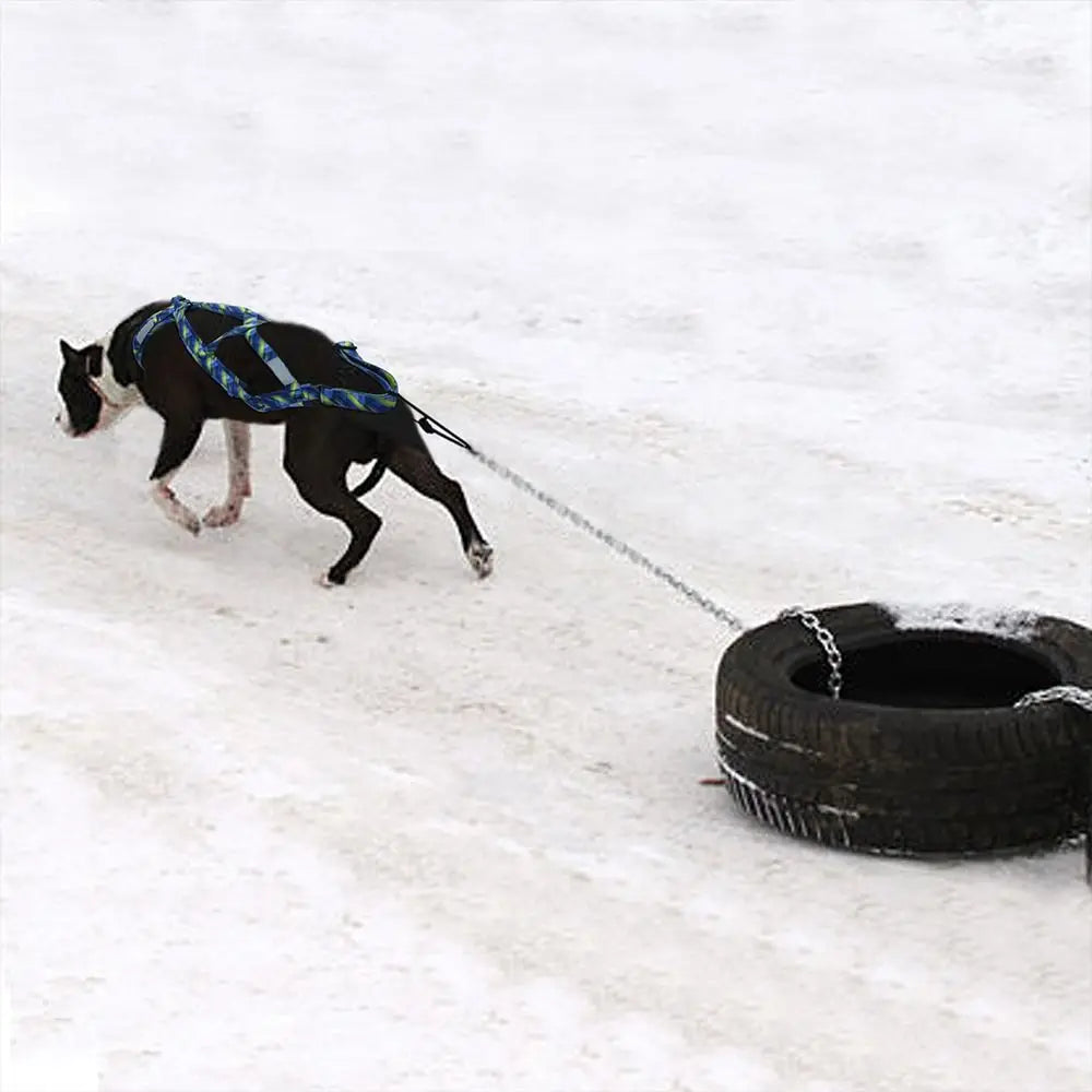 Dogs Training Dog Sledding Harness Dog Sled Waterproof Training Vest
