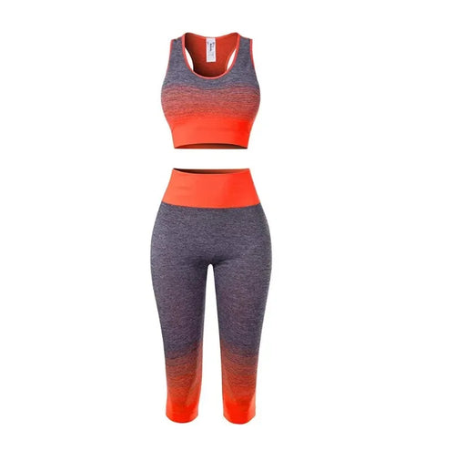 2 Piece Sets Womens Outfits Yoga Set Elastic Gradual Changing Sports