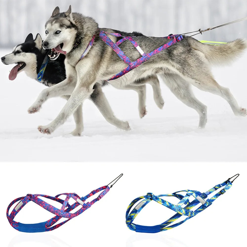 Dogs Training Dog Sledding Harness Dog Sled Waterproof Training Vest