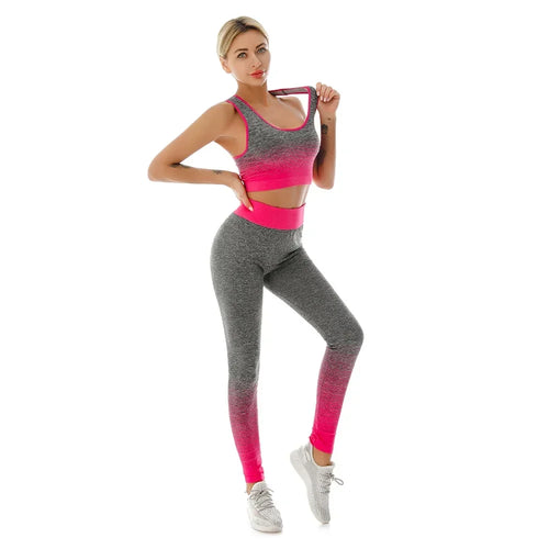 2 Piece Sets Womens Outfits Yoga Set Elastic Gradual Changing Sports