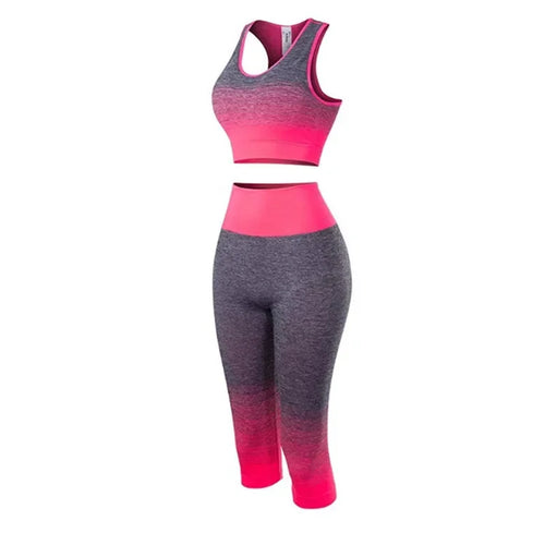 2 Piece Sets Womens Outfits Yoga Set Elastic Gradual Changing Sports