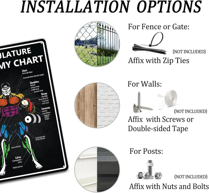 Musculature Anatomy Chart Tin Sign Gym Motivational Metal Signs Funny