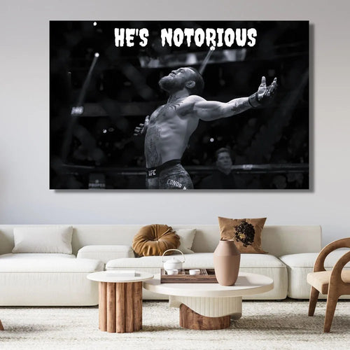 Inspirational Boxing Conor McGregor Professional Boxers Poster Canvas