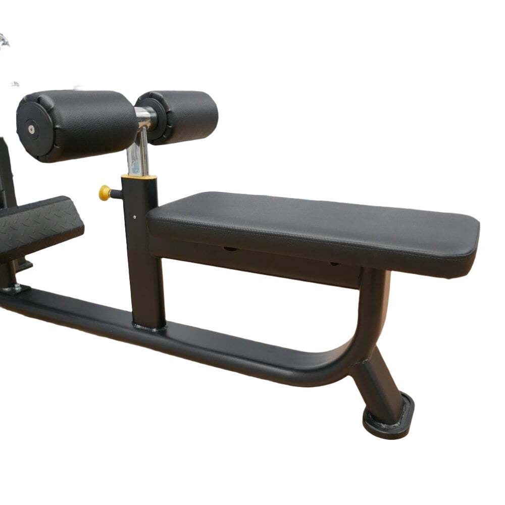 Future Dual Series Commercial Lat Pulldown / Low Row (Gym Equipment)