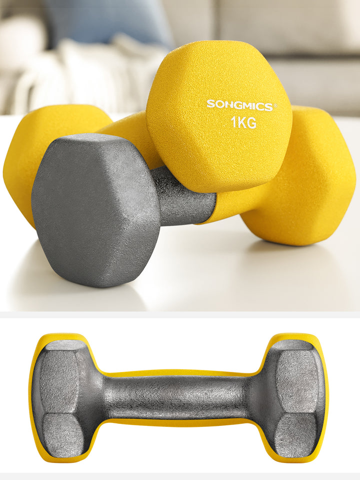 SONGMICS Set of 2 Dumbbells, Hexagonal Dumbbells Pair, Home Workout, Fitness Training Exercise