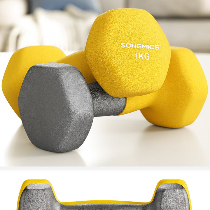 SONGMICS Set of 2 Dumbbells, Hexagonal Dumbbells Pair, Home Workout, Fitness Training Exercise