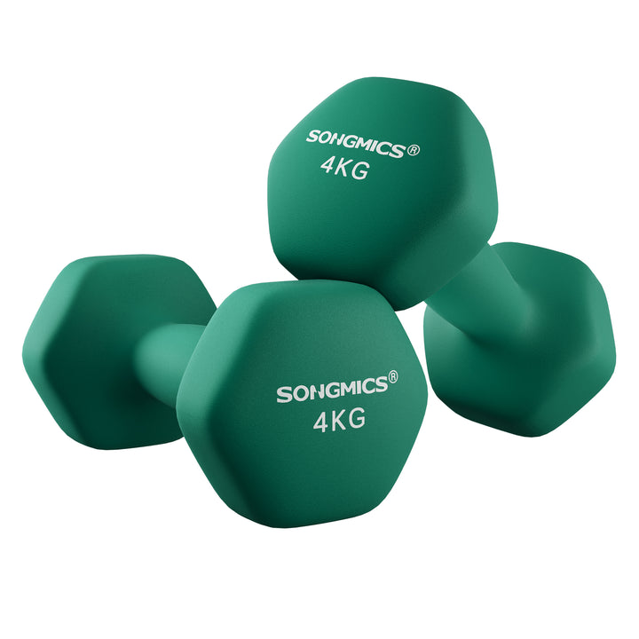 SONGMICS Set of 2 Dumbbells, Hexagonal Dumbbells Pair, Home Workout, Fitness Training Exercise