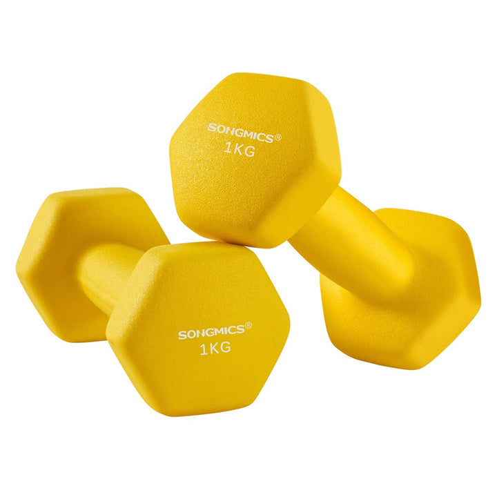 SONGMICS Set of 2 Dumbbells, Hexagonal Dumbbells Pair, Home Workout, Fitness Training Exercise