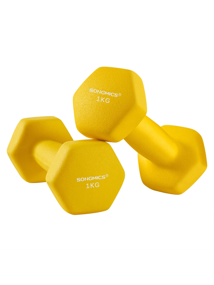 SONGMICS Set of 2 Dumbbells, Hexagonal Dumbbells Pair, Home Workout, Fitness Training Exercise