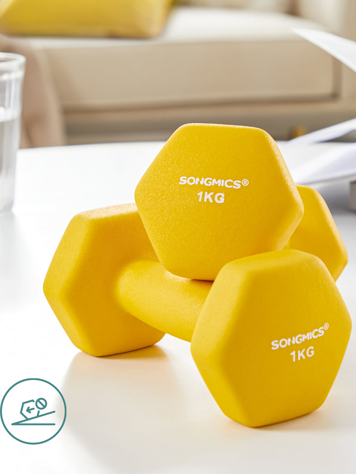 SONGMICS Set of 2 Dumbbells, Hexagonal Dumbbells Pair, Home Workout, Fitness Training Exercise